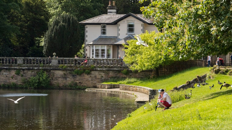 Visitors relaxing on the shore of Studley Lake while birds fly overhead at Fountains Abbey and Studley Royal Water Garden, Yorkshire.